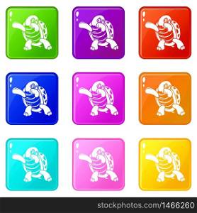 Dancing turtle icons set 9 color collection isolated on white for any design. Dancing turtle icons set 9 color collection