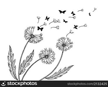 Dandelion background. Dandelions seeds flight, blow wind metaphor. Abstract flower and butterfly silhouettes. Relaxing art, freedom neoteric vector banner on white. Dandelion background. Dandelions seeds flight, blow wind metaphor. Abstract flower and butterfly silhouettes. Relaxing art, freedom neoteric vector banner