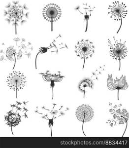 Dandelion blowball in the wind set vector image