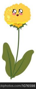 Dandelion cute, illustration, vector on white background.