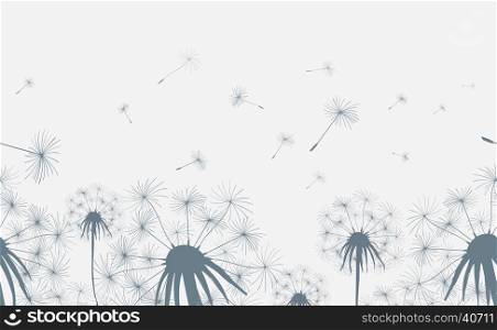 Dandelion field seamless background. Dandelion field seamless horizontal background. Hand drawn dandelions grass flowers with blowing seeds. Vector illustration