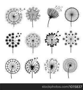 Dandelion icon. Botanical pictures flowers silhouettes herbal black pictures vector illustrations. Set of dandelion silhouette, flower summer. Dandelion icon. Botanical pictures flowers silhouettes herbal black pictures vector illustrations