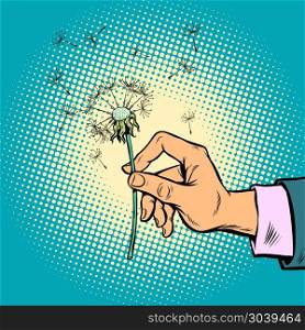 dandelion in a man hand. dandelion in a man hand. Comic book cartoon pop art retro illustration. dandelion in a man hand