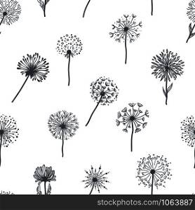 Dandelion old plant with seeds, monochrome sketches outline, seamless pattern, isolated on white background. Nature botanic blossoming, fragility of wildflower, taraxatum blowing of top vector. Dandelion old plant with seeds, monochrome sketches outline, seamless pattern