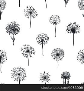Dandelion old plant with seeds, monochrome sketches outline, seamless pattern, isolated on white background. Nature botanic blossoming, fragility of wildflower, taraxatum blowing of top vector. Dandelion old plant with seeds, monochrome sketches outline, seamless pattern