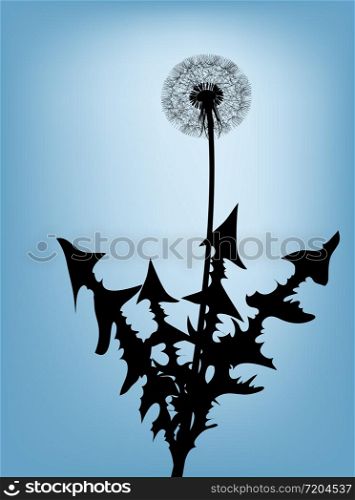 Dandelion silhouette against the blue sky