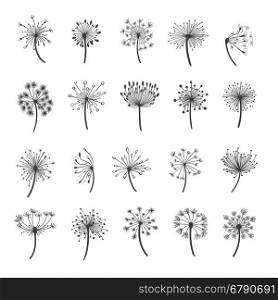 Dandelion silhouette icons. Dandelion vector silhouettes. Hand drawn dandelions with seeds icons