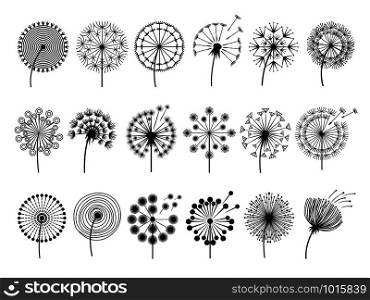 Dandelion silhouettes. Herbal illustrations flowers decoration concept vector botany illustrations. Black silhouette of summer flower dandelion. Dandelion silhouettes. Herbal illustrations flowers decoration concept vector botany illustrations