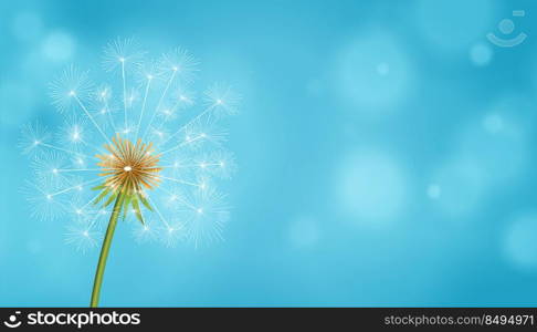 dandelion tea seeds flower blue background