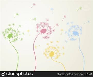 Dandelion3. Flowers dandelions also fly seeds. A vector illustration