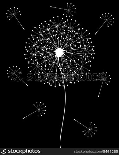 Dandelion5. White dandelion on a black background. A vector illustration