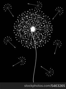 Dandelion5. White dandelion on a black background. A vector illustration