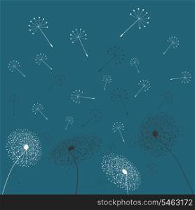 Dandelion6. From a dandelion flower seeds fly away. A vector illustration