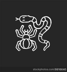 Dangerous animals chalk white icon on black background. Exotic pets. Poisonous snakes and venomous spiders. Cobras, vipers and rattlesnakes. Isolated vector chalkboard illustration. Dangerous animals chalk white icon on black background