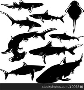 Dangerous sharks in vector silhouette with stylized illustration