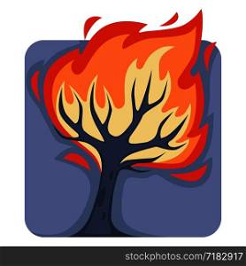 Dangerous wild fire that burns down tall tree. Natural disaster caused by heat or human carelessness. Plant in hot flame isolated cartoon vector illustration of square shape on white background.. Dangerous wild fire that burns down tall tree