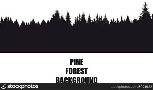 dark background silhouette of a pine forest isolated on a white background