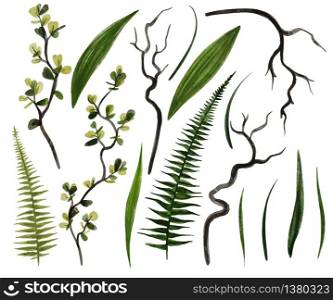 Dark green watercolor greenery collection with curly willow branches, hand drawn vector illustration.