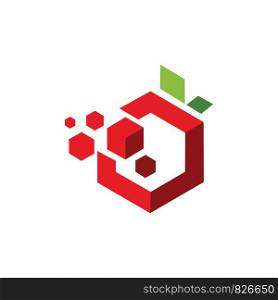 Data Fruit Logo template