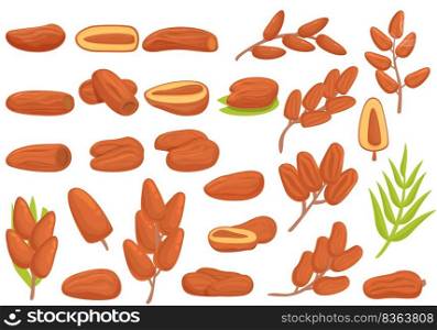 Date fruit icons set cartoon vector. Leaf food. Branch dried. Date fruit icons set cartoon vector. Leaf food