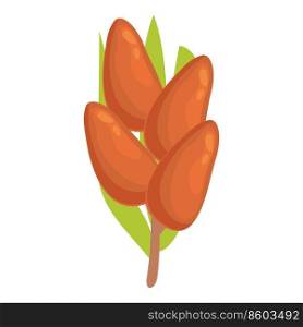 Date fruit tree icon cartoon vector. Palm food. Arabic seed. Date fruit tree icon cartoon vector. Palm food