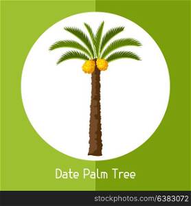 Date palm tree. Illustration of exotic tropical plant. Date palm tree. Illustration of exotic tropical plant.