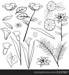 Daust Buttercup Arum Lily Morning Glory Leaf Flower Floral Silhouette Outline Line Element