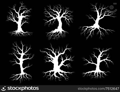 Dead old trees white silhouettes with roots and curved leafless branches on black background, for nature or ecology themes design. Dead old trees silhouettes with roots