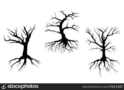 Dead trees with stem and roots isolated on white background for ecology concept design