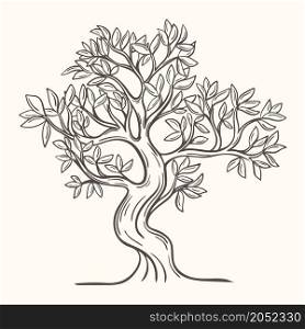 Deciduous tree hand drawn isolated vector illustration. A single beautiful tree with a lush crown sketch. Graphic silhouette of a tree with curved greenery branches. Deciduous tree hand drawn isolated vector illustration