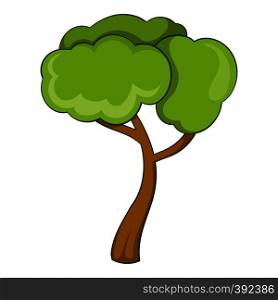 Deciduous tree icon. Cartoon illustration of deciduous tree vector icon for web. Deciduous tree icon, cartoon style