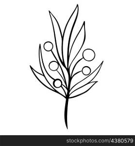 Deciduous twig with berries in doodle style vector isolated illustration. Hand drawn branch with leaves. Botanical natural foliage decoration. Deciduous twig with berries in doodle style vector isolated illustration