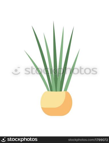 Decorating home with snake plant semi flat color vector object. Full sized item on white. Mother in law house plant in pot isolated modern cartoon style illustration for graphic design and animation. Decorating home with snake plant semi flat color vector object
