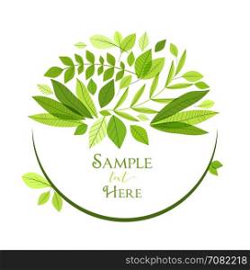 Decoration branches with leaves. Vector illustration of decoration branches with leaves, nature background