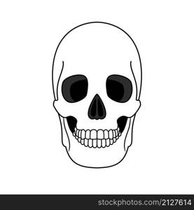 Decoration from outline skull. Anatomical correct element of human skeleton with teeth, ancient head bone with black eyes sockets, vector illustration of traditional symbol of horro. Decoration outline skull