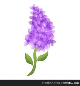 Decoration lilac icon. Cartoon of decoration lilac vector icon for web design isolated on white background. Decoration lilac icon, cartoon style