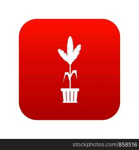Decoration plant on pot in simple style isolated on white background vector illustration. Decoration plant on pot icon digital red