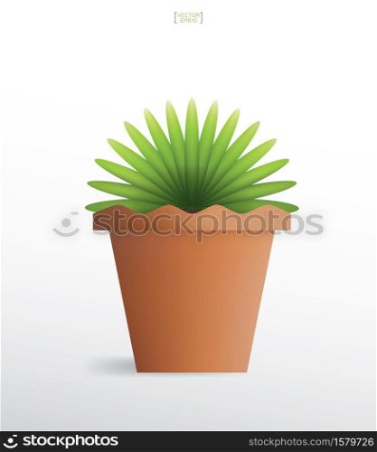 Decoration plants in flower pot. Small tree. Natural object idea for interior design and decoration. Vector illustration.