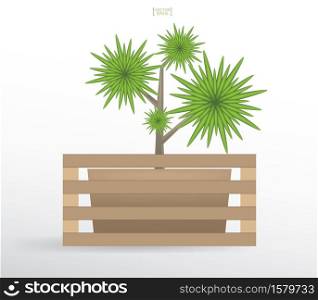 Decoration plants in flower pot. Small tree. Natural object idea for interior design and decoration. Vector illustration.