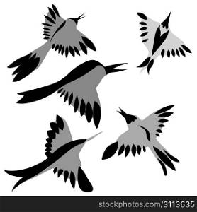decorative birds drawing on white background, vector illustration