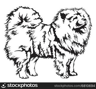 Decorative black and white Dog Chow Chow vector illustration