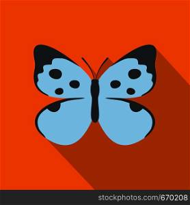 Decorative butterfly icon. Flat illustration of decorative butterfly vector icon for web. Decorative butterfly icon, flat style.