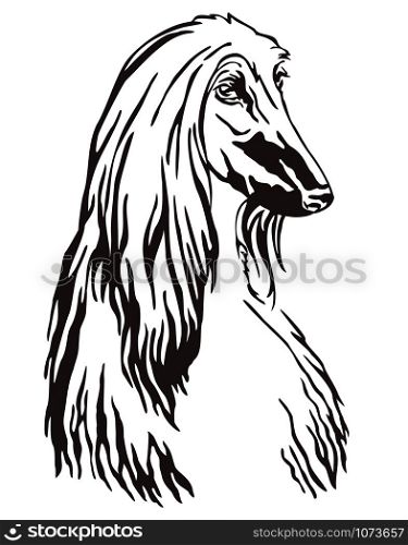 Decorative contour outline portrait of Dog Afghan Hound looking in profile, vector illustration in black color isolated on white background. Image for design and tattoo.