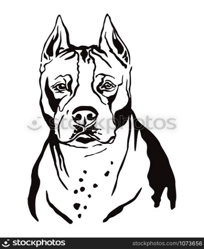 Decorative contour outline portrait of Dog American Staffordshire Terrier, vector illustration in black color isolated on white background. Image for design and tattoo.