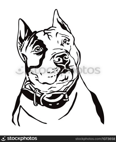 Decorative contour outline portrait of Dog American Staffordshire Terrier, vector illustration in black color isolated on white background. Image for design and tattoo.