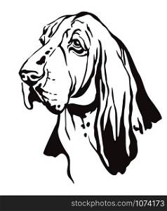 Decorative contour outline portrait of Dog Basset Hound looking in profile, vector illustration in black color isolated on white background. Image for design and tattoo.