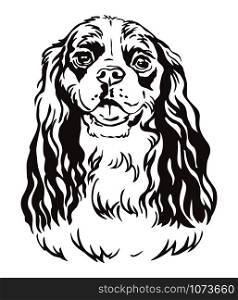 Decorative contour outline portrait of Dog Cavalier King Charles Spaniel, vector illustration in black color isolated on white background. Image for design and tattoo.