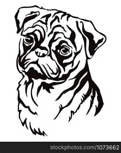 Decorative contour outline portrait of Dog Pug, vector illustration in black color isolated on white background. Image for design and tattoo.
