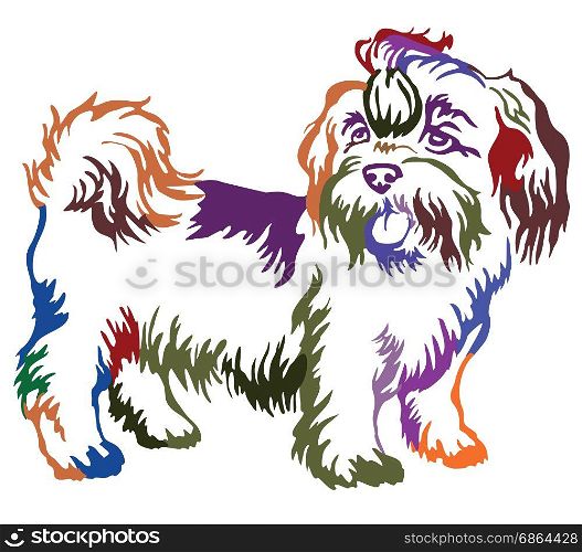 Decorative contour portrait of standing in profile dog shih-tzu, colorful vector isolated illustration on white background