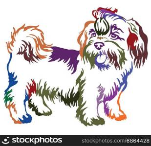 Decorative contour portrait of standing in profile dog shih-tzu, colorful vector isolated illustration on white background